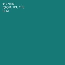 #177976 - Elm Color Image