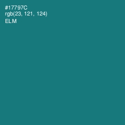 #17797C - Elm Color Image