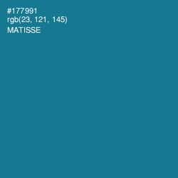 #177991 - Matisse Color Image