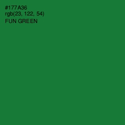 #177A36 - Fun Green Color Image