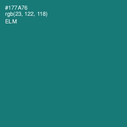 #177A76 - Elm Color Image