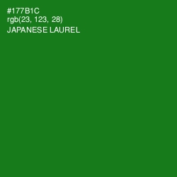 #177B1C - Japanese Laurel Color Image