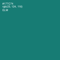 #177C74 - Elm Color Image