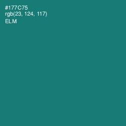 #177C75 - Elm Color Image