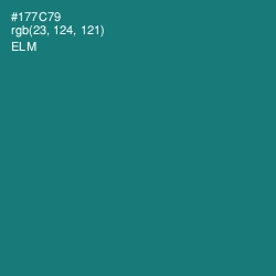 #177C79 - Elm Color Image