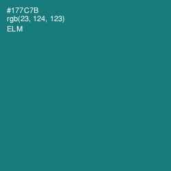 #177C7B - Elm Color Image