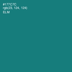 #177C7C - Elm Color Image