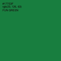 #177E3F - Fun Green Color Image