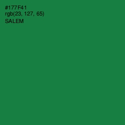 #177F41 - Salem Color Image