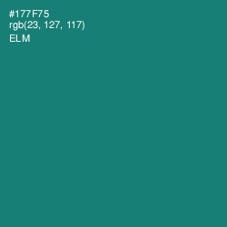 #177F75 - Elm Color Image