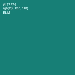 #177F76 - Elm Color Image