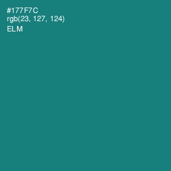 #177F7C - Elm Color Image