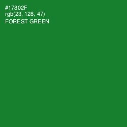 #17802F - Forest Green Color Image