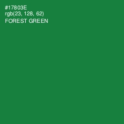 #17803E - Forest Green Color Image