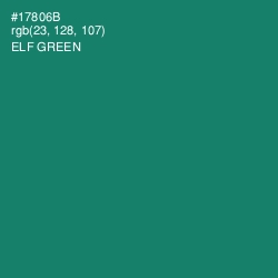 #17806B - Elf Green Color Image