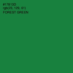 #17813D - Forest Green Color Image