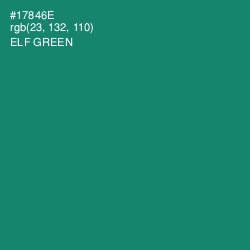 #17846E - Elf Green Color Image