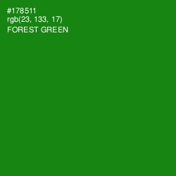#178511 - Forest Green Color Image