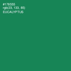 #178555 - Eucalyptus Color Image