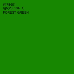 #178601 - Forest Green Color Image