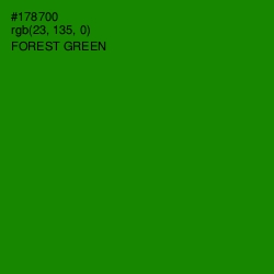 #178700 - Forest Green Color Image