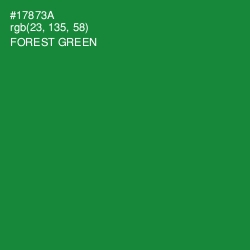 #17873A - Forest Green Color Image