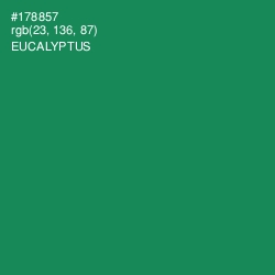 #178857 - Eucalyptus Color Image