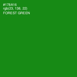 #178A16 - Forest Green Color Image