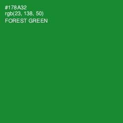 #178A32 - Forest Green Color Image