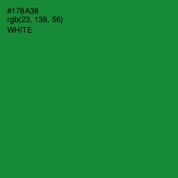 #178A38 - Forest Green Color Image