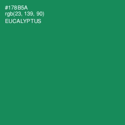 #178B5A - Eucalyptus Color Image