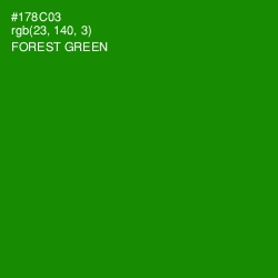 #178C03 - Forest Green Color Image