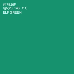 #17926F - Elf Green Color Image