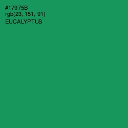 #17975B - Eucalyptus Color Image