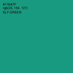 #179A7F - Elf Green Color Image