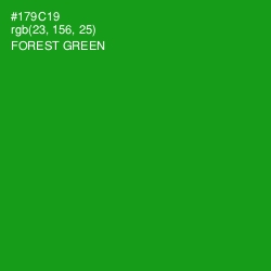 #179C19 - Forest Green Color Image