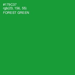 #179C37 - Forest Green Color Image