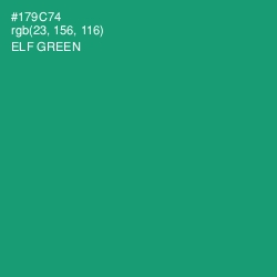 #179C74 - Elf Green Color Image