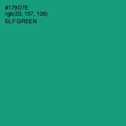 #179D7E - Elf Green Color Image