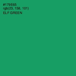 #179E65 - Elf Green Color Image