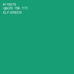 #179E75 - Elf Green Color Image