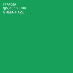 #17A05A - Green Haze Color Image