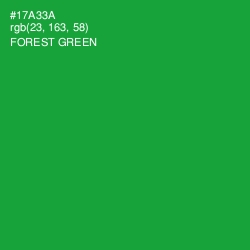 #17A33A - Forest Green Color Image