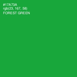 #17A73A - Forest Green Color Image