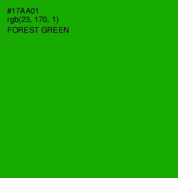 #17AA01 - Forest Green Color Image