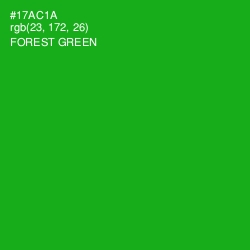 #17AC1A - Forest Green Color Image