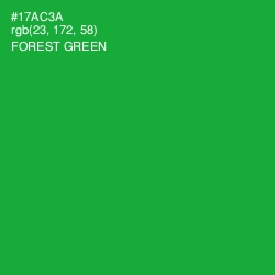 #17AC3A - Forest Green Color Image