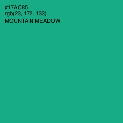 #17AC85 - Mountain Meadow Color Image