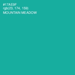 #17AE9F - Mountain Meadow Color Image