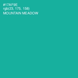 #17AF9E - Mountain Meadow Color Image